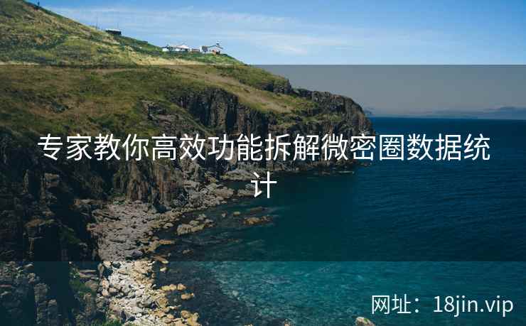 专家教你高效功能拆解微密圈数据统计
