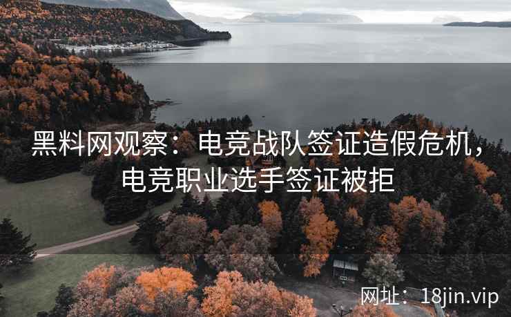 黑料网观察：电竞战队签证造假危机，电竞职业选手签证被拒