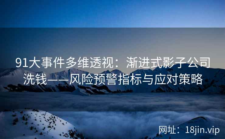91大事件多维透视：渐进式影子公司洗钱——风险预警指标与应对策略