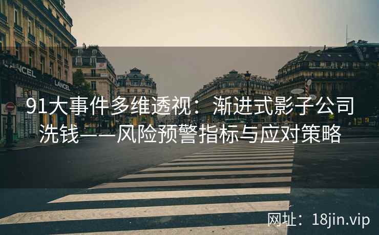 91大事件多维透视：渐进式影子公司洗钱——风险预警指标与应对策略