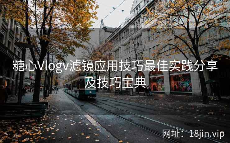糖心Vlogv滤镜应用技巧最佳实践分享及技巧宝典